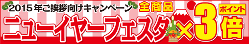 2015年1月末までに納品のお客様に限り全商品ポイント3倍。ニューイヤーフェスタ×3倍！まとめ印刷のチャンスです。