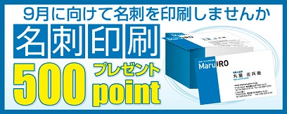 名刺印刷で500Pポイントバック