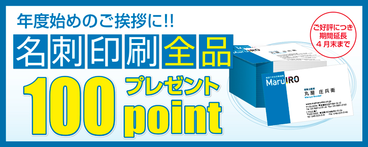 名刺印刷全品100ポイントプレゼント