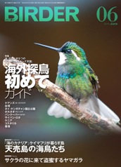 BIRDERバーダー