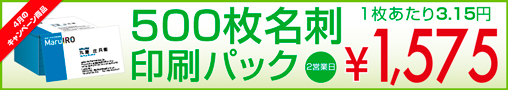 500枚名刺印刷パック