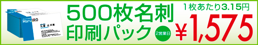 500枚名刺印刷パック