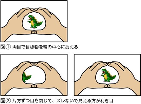 1..両目で対象物を輪の中心に捉える　2.片目ずつ目を閉じて、ズレないで見えるほうが利き目