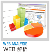 WEB ANALYSIS - WEB解析