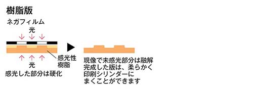 樹脂版イメージ