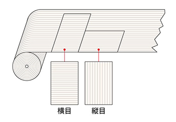 イメージ01