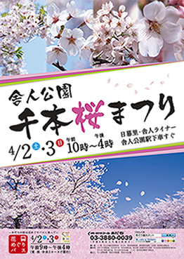 足立区舎人公園千本桜まつり