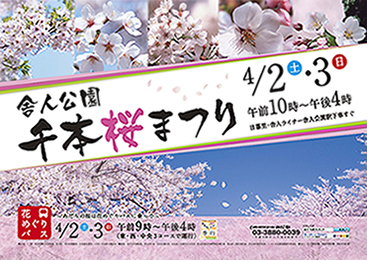 足立区舎人公園千本桜まつりあだち広報