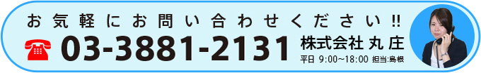 お問い合わせは03-3881-2131へ