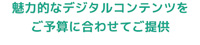 魅力的なデジタルコンテンツをご予算にあわせてご提供